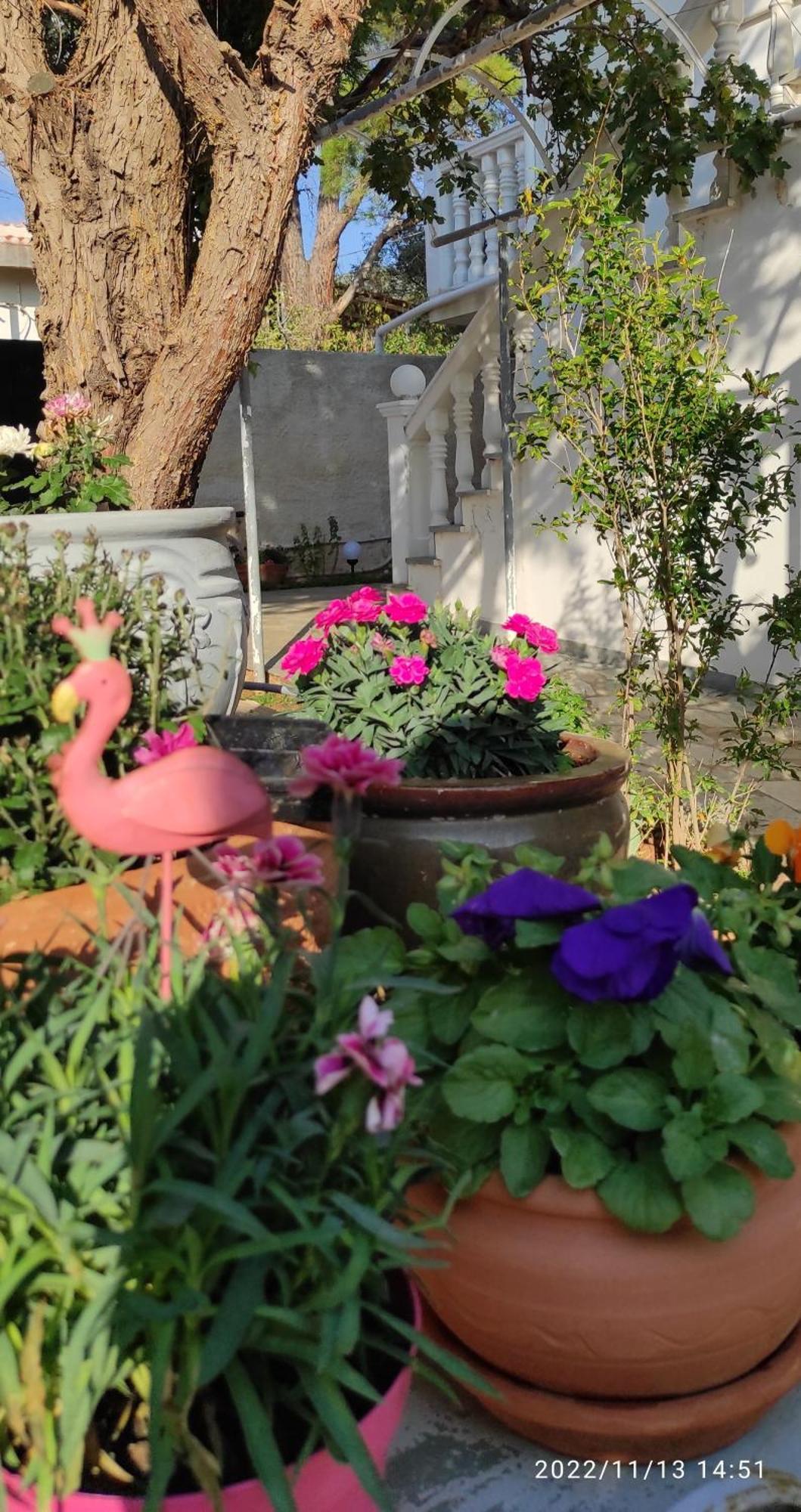 Secret Garden Home Lagonissi Attiki Foinikia  ภายนอก รูปภาพ