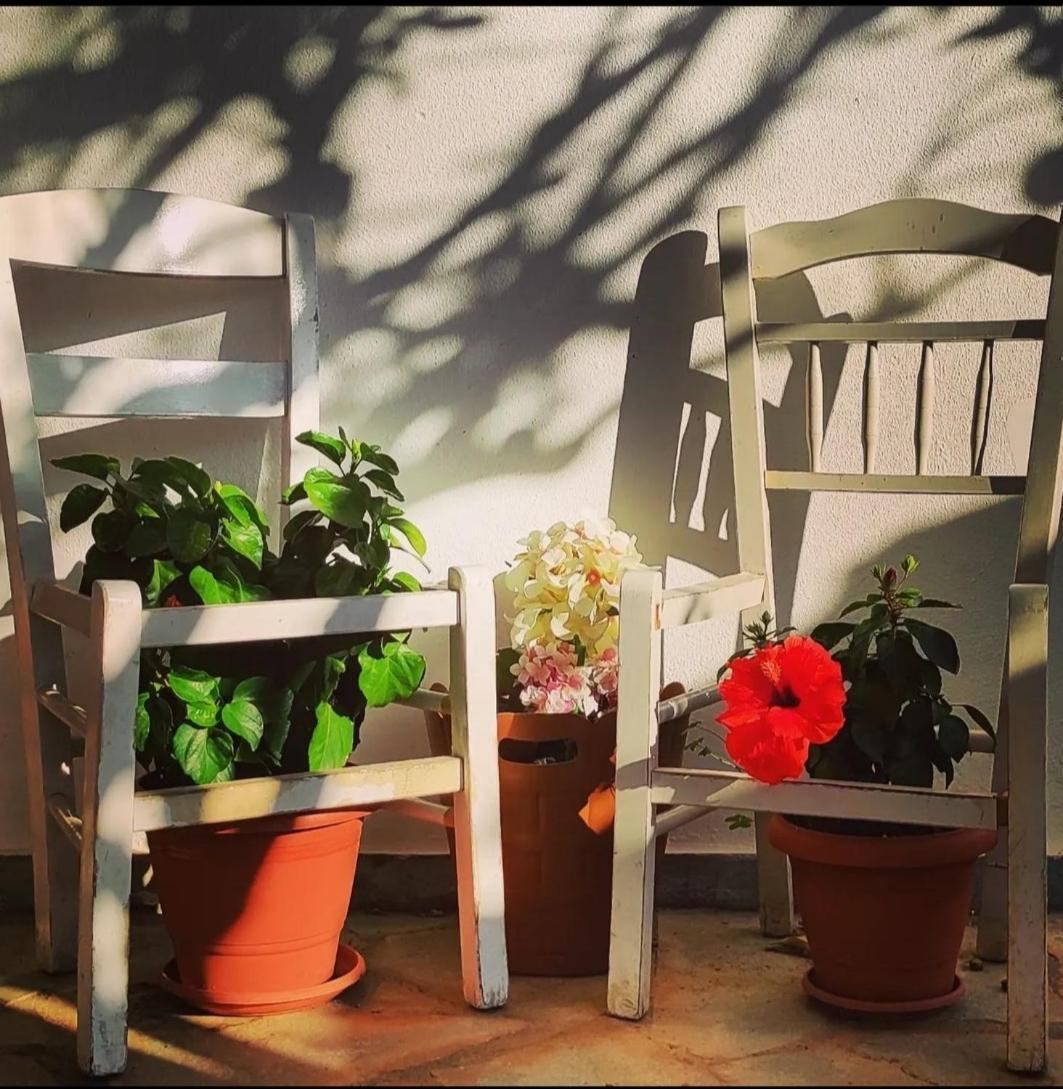 Secret Garden Home Lagonissi Attiki Foinikia  ภายนอก รูปภาพ